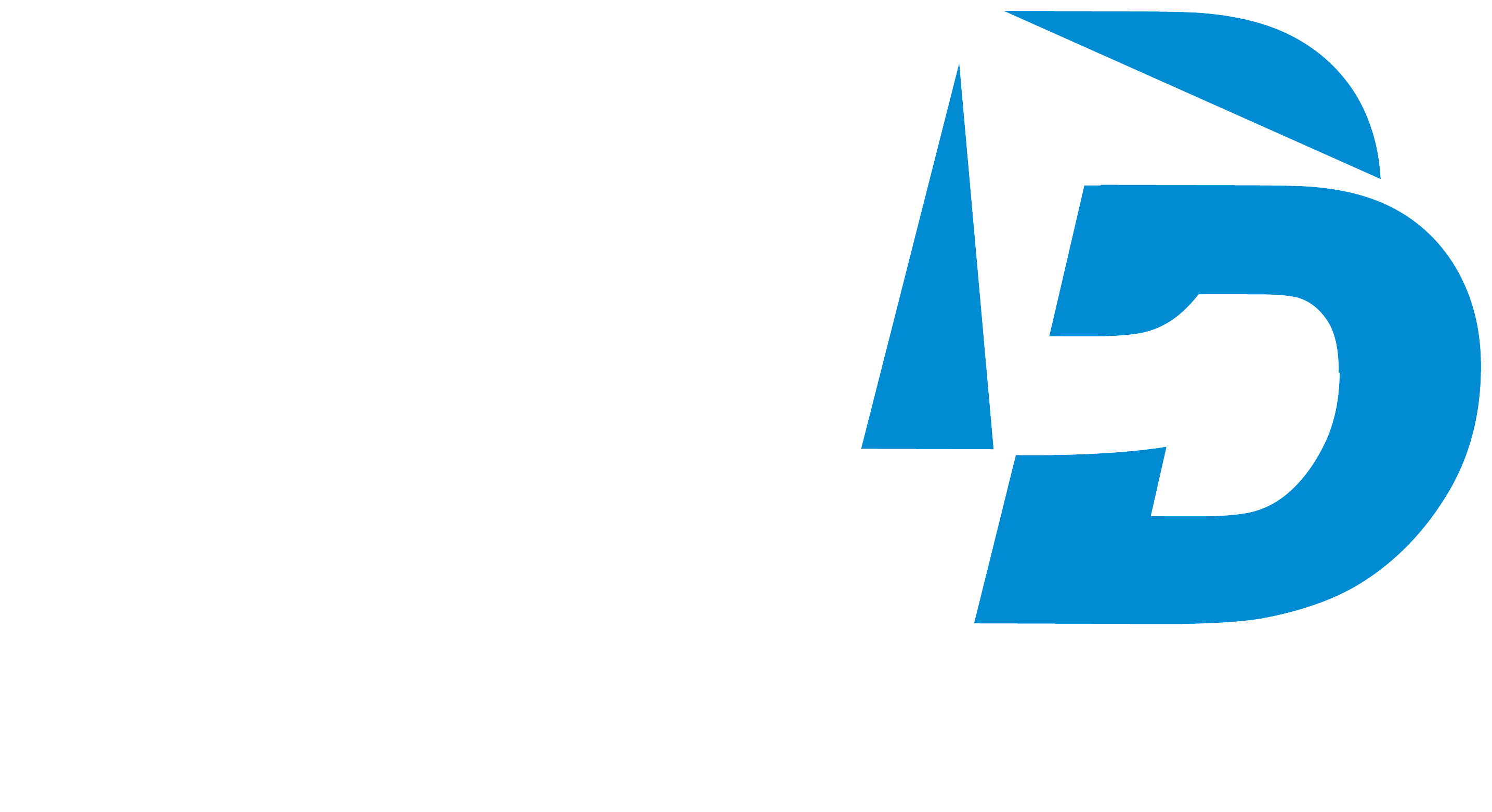 Driessen Dakwerk Logo